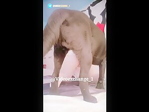 Thumb 8